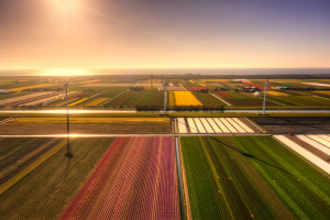 金满贯梦想仍在!世界排名背后,他付出的努力你看到吗 金满贯梦想仍在!世界排名背后,他付出的努力你看到吗